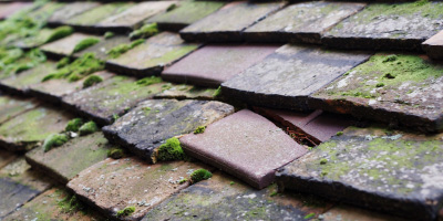 Waun Y Clyn roof repair costs
